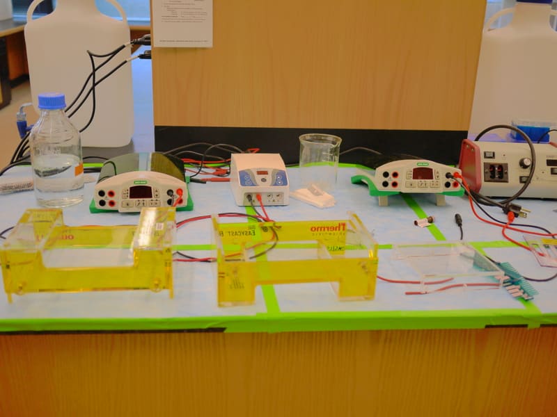 Newly labeled equipment arranged across a lab bench