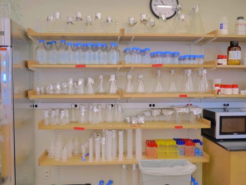 Inside the New Lab photograph by Stirling Churchman