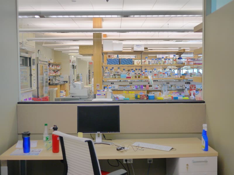 Inside the New Lab photograph by Stirling Churchman
