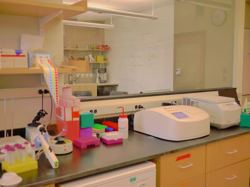Inside the New Lab photograph by Stirling Churchman