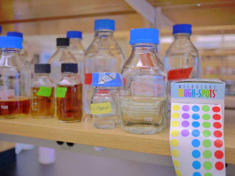 Inside the New Lab photograph by Stirling Churchman
