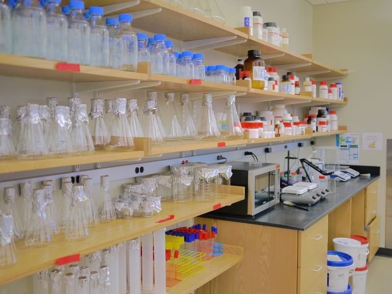 Inside the New Lab photograph by Stirling Churchman