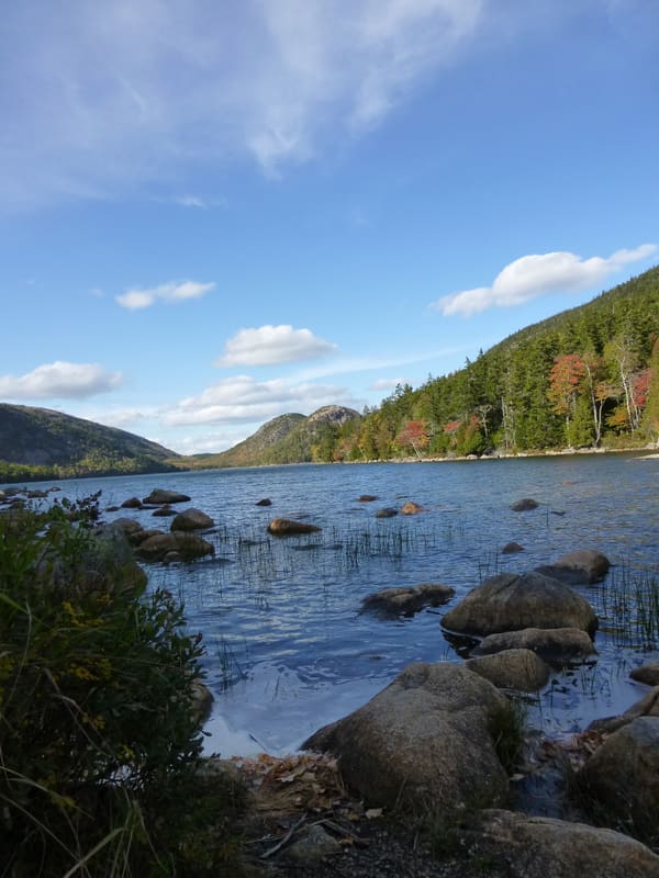 Autumn coastline and mountains in Acadia National Park
