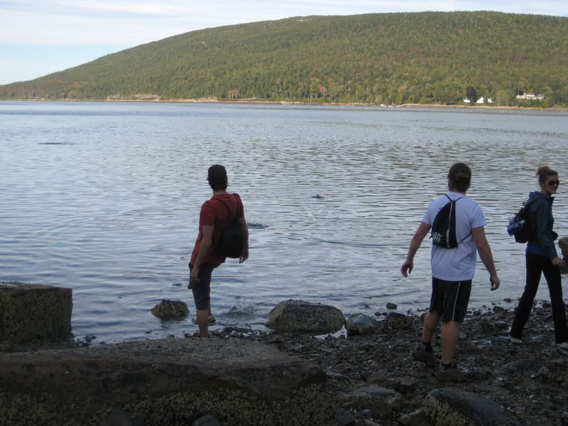 2013 Lab Retreat photograph by Churchman Lab members