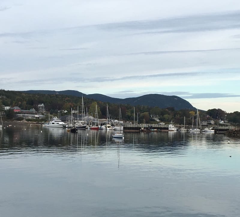 A Maine harbor seen during the retreat