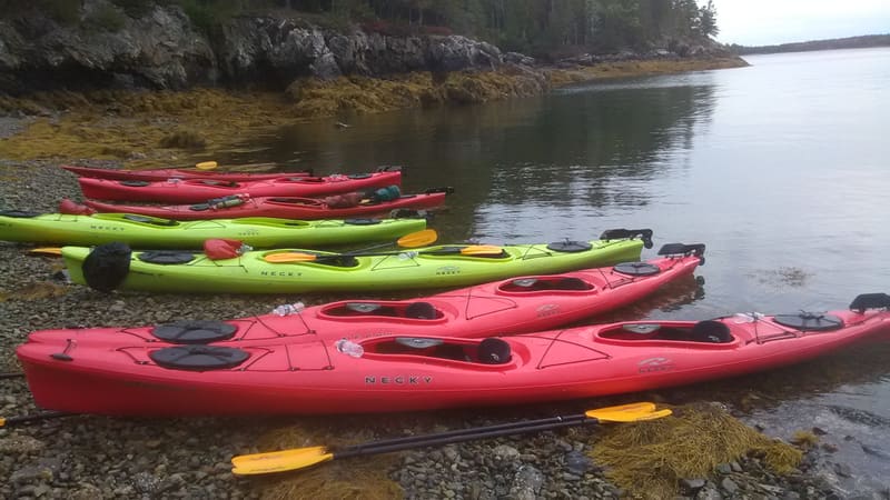 Colorful kayaks lined up along the Maine shoreline