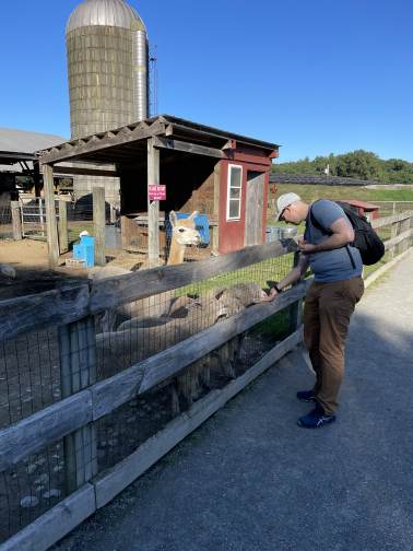 A lab member greeting an alpaca at a local farm