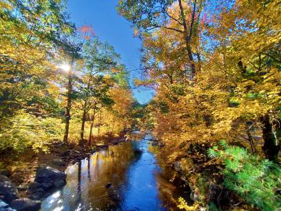 An autumn stream surrounded by bright foliage