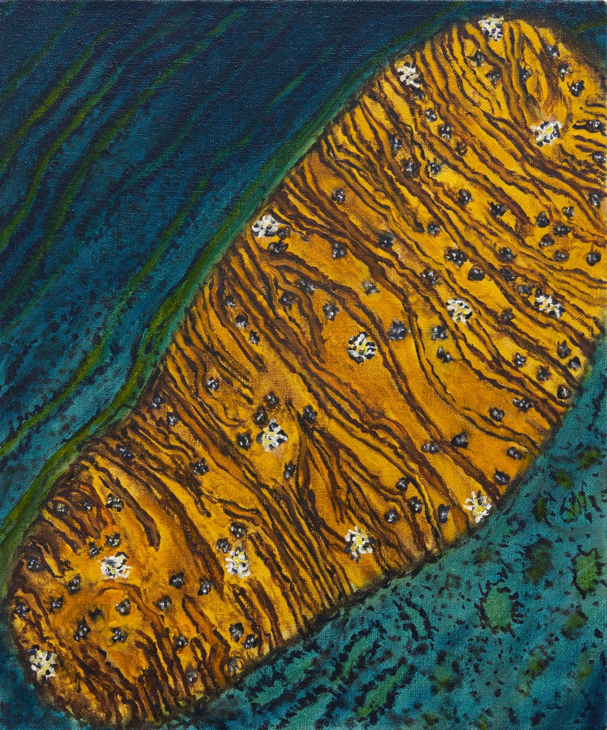 Single-nucleoid architecture reveals heterogeneous packaging of mitochondrial DNA, a painting by Leidy Churchman