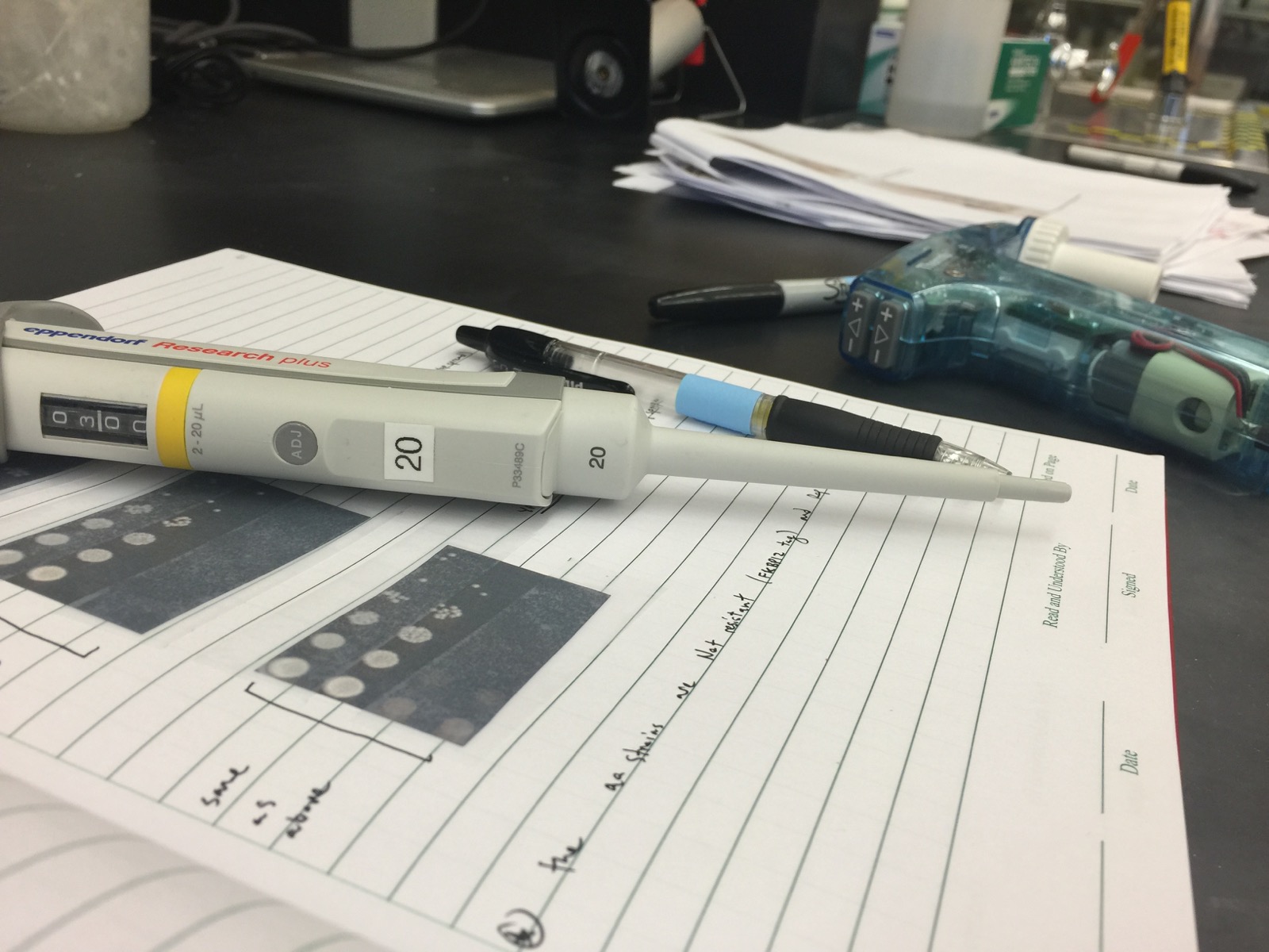 Bench work in the Churchman lab