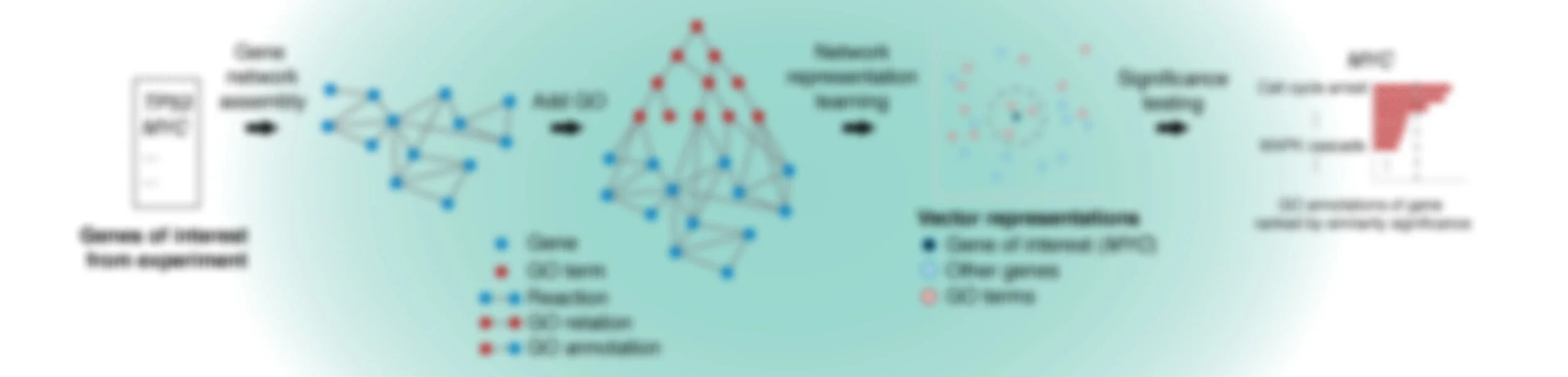 GeneWalk overview schematic