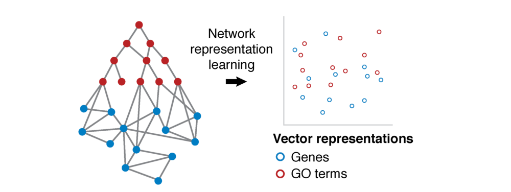 Representation learning